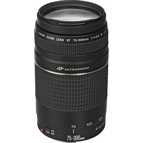 Jual Canon EF 75-300mm f4-5.6 III USM Lens Harga Terbaik